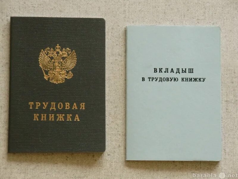 Трудовая книжка. Вкладыш в трудовую книжку. Трудовая книга. Трудовая книжка нового образца.