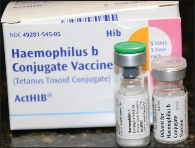 Гемофильная вакцина. Вакцина против гемофильная инфекция. Haemophilus influenzae микробиология.