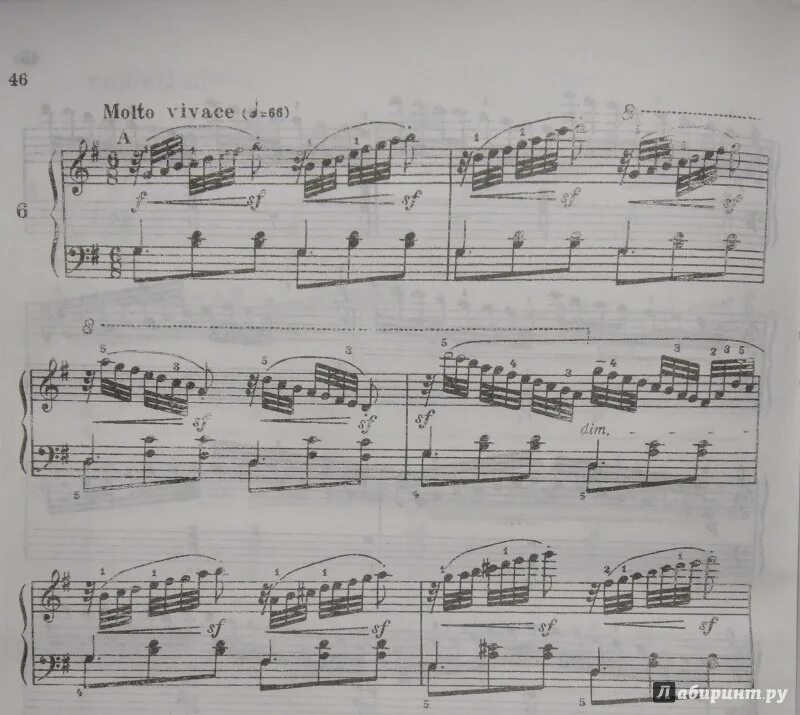 Этюд номер 6. Этюд черни 6 Allegro Moderato. Этюд до мажор опус 335 черни. Черни Этюд 4 6,8 Аллегро Модерато. Этюд номер 6 черни.