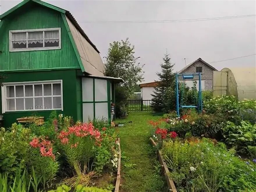 Садовое общество Родничок Ачинск. Родничок на даче. Дачи Ачинск роднички. СНТ Родничок Ачинск.