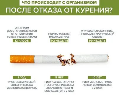 Сигареты бросил что организме происходит