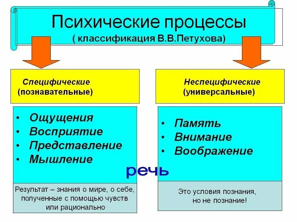 Психические процессы кратко. Психические процессы. Биопсихические процессы. Перечислите психические процессы.