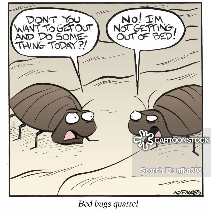 Дезинсекция юмор. Кровать юмор. Insects jokes. Fix some bugs