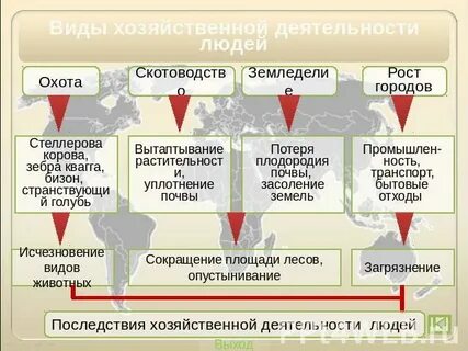 Виды деятельности московская область