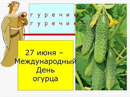 Огурец класс