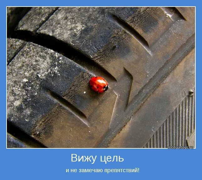 Не вижу цель не вижу препятствий. Вижу цель не вижу. Видим цель не видим препятствий. Цель не вижу препятствий. Вижу не вижу препятствий 4.