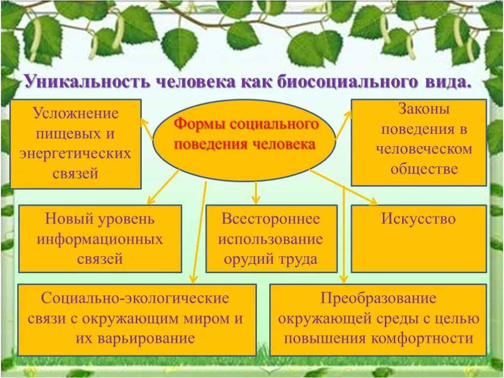 Влияние окружающей среды на поведение. Эколога социальные взаимосвязи. Человек как биосоциальный вид экология. Экологические связи примеры с человеком. Экология взаимосвязь.