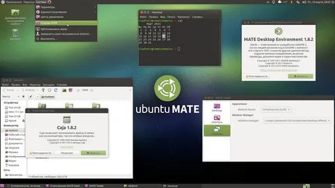 Mate environment
