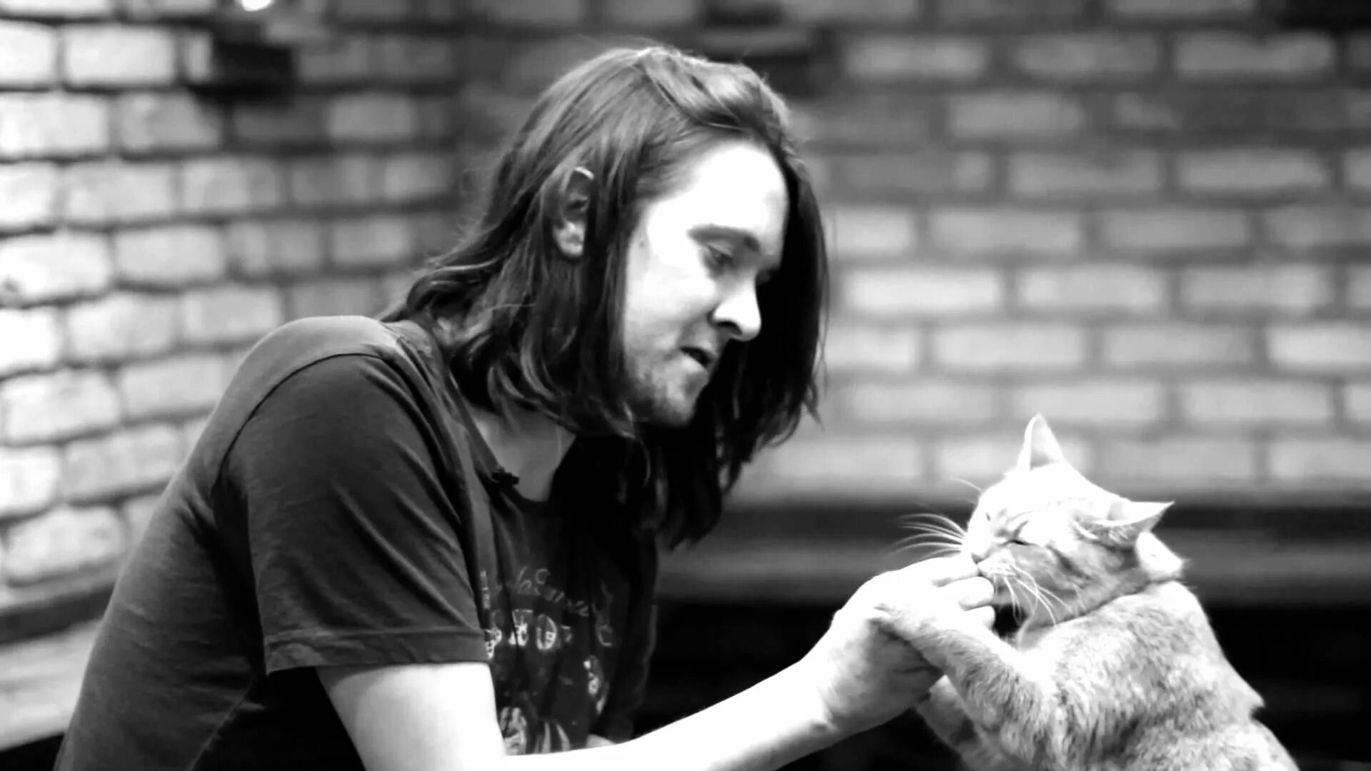 Кот боб и человек. Джеймс боуэн. кот боб. a street cat named bob. джеймс боуэн британский писатель.