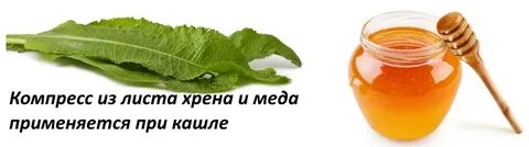 Хрен компрессы
