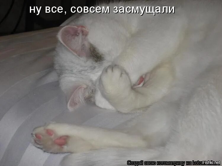 Не совсем удобно. Засмущали меня. вы меня засмущали. совсем засмущали. ой засмущал.