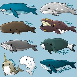 Than whales
