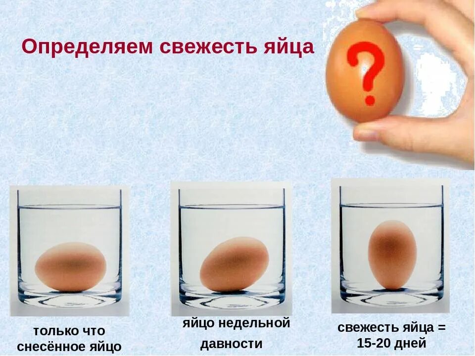 Как проверить свежесть яиц. Определить свежесть куриного яйца. определить свежесть яиц в воде. определение свежести яиц. как определит ьсвежестья яиц.