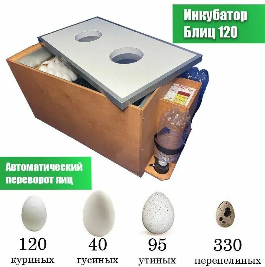 инкубатор блиц 120 цифровой ц10. инкубатор блиц-48 цифровая электроника,12в/220в. блиц 120. блиц 120. инкубатор блиц 120 цифровой ц10.