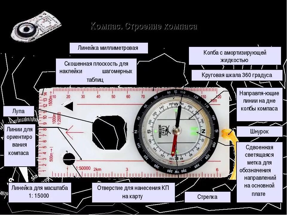 Последовательность действий с компасом. Как правильно пользоваться компасом. Как правильно пользователей компасом. Строение компаса. Компас инструкция.