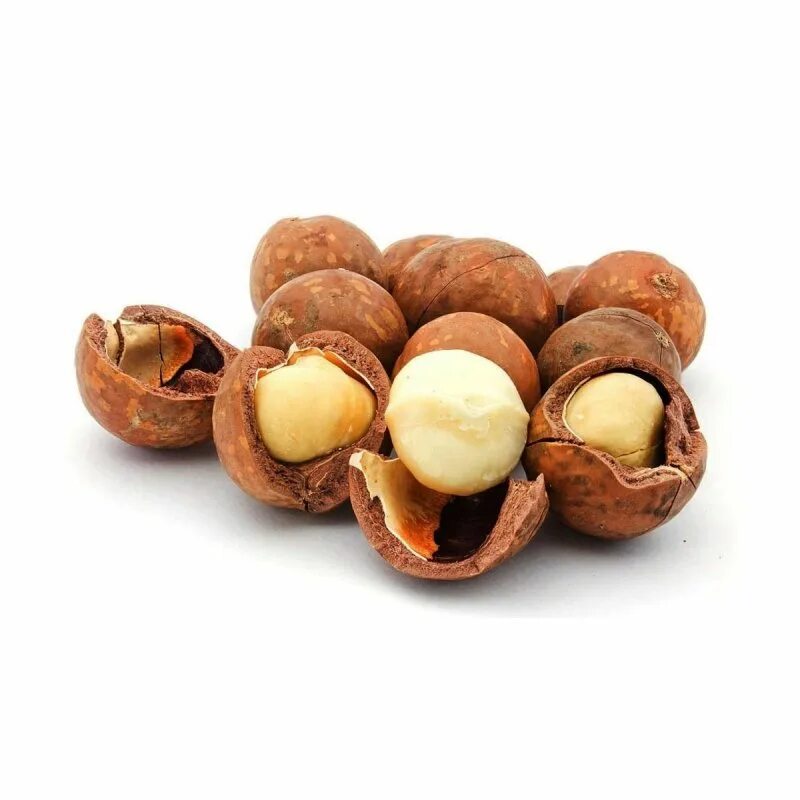 Орех микамидия. Macadamia nuts. Королевский орех макадамия. Орех круглый коричневый с прорезью. Макадамия.
