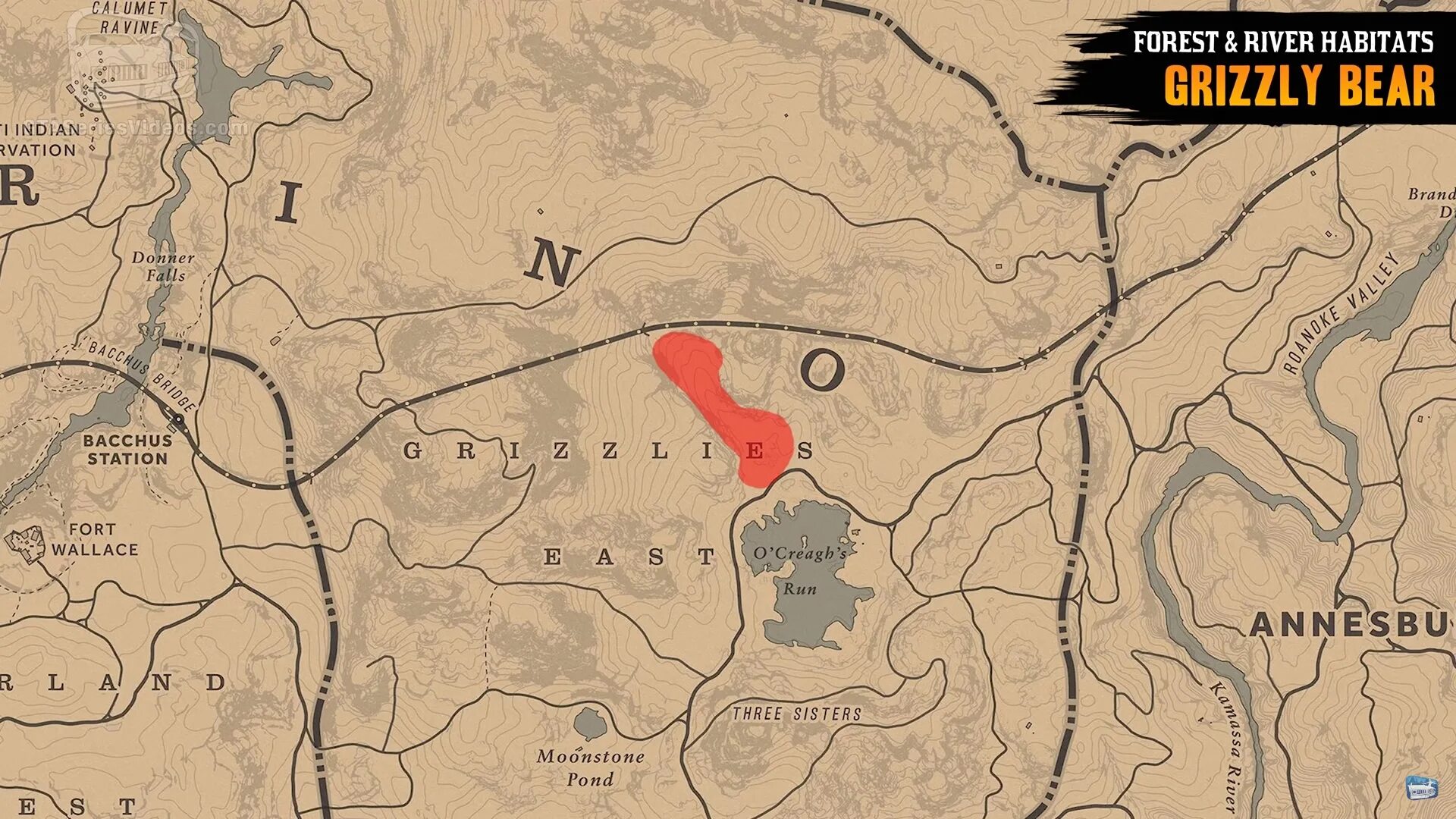 Медведь рдр 2 где. Red Dead Redemption 2 Гризли на карте. Карта сокровищ РДР 2 Хижина Уотсонов. РДР 2 Гризли на карте.
