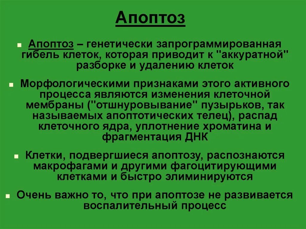 Апоптоз. Апоптоз определение. Апоптоз клетки. Апоптоз клетки кратко.