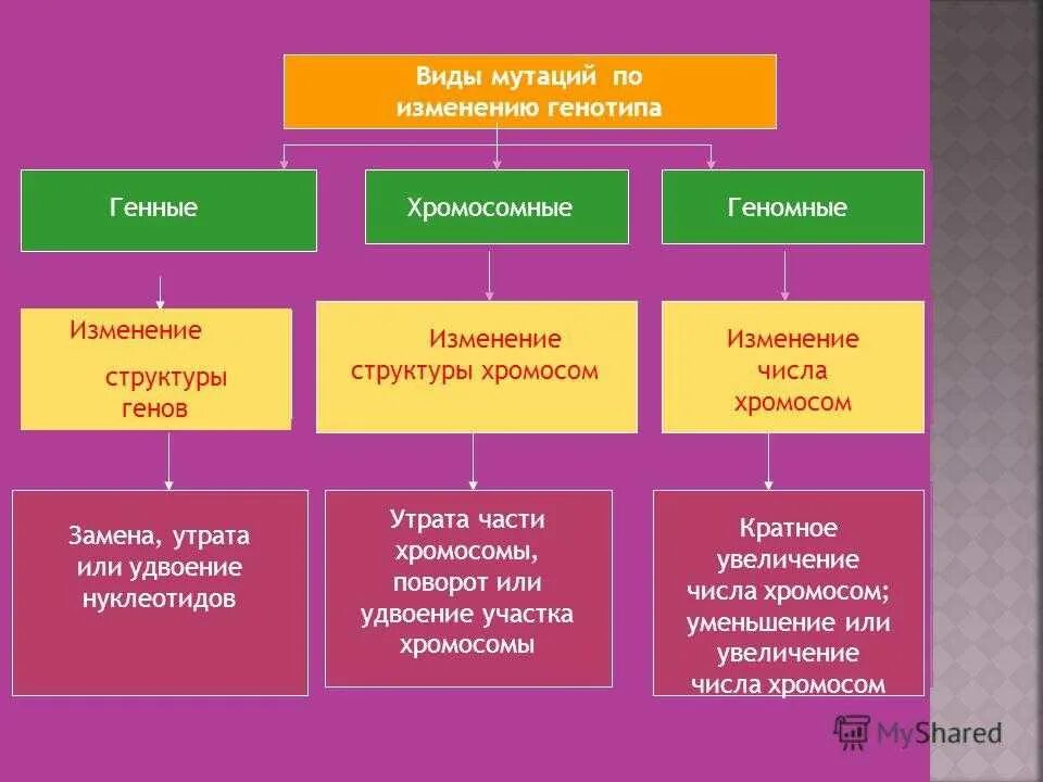 Виды и причины мутаций. Таблица классификация мутаций по уровню их возникновения. типы генных мутаций таблица. виды и типы мутаций. типы генных мутаций генетика.