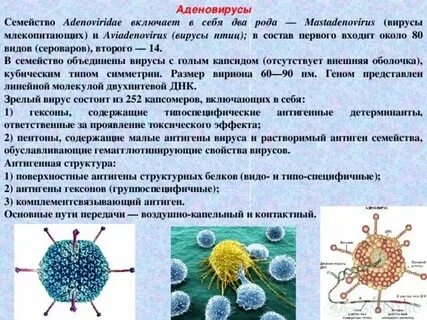 Аденовирус глаз