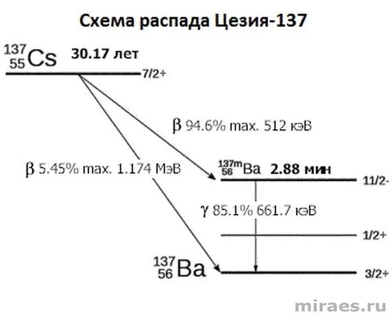 Схема распада цезия 137. Схема радиоактивного распада цезия 137. Упрощенная схема распада цезия-137. Спектр цезия 137.