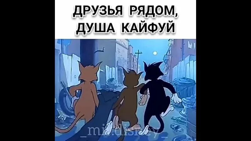 Душа кайфует текст. Друзья рядом. Друзья рядом душа. Друзья душа кайфуй. Друзья рядом, друзья кайфуют.