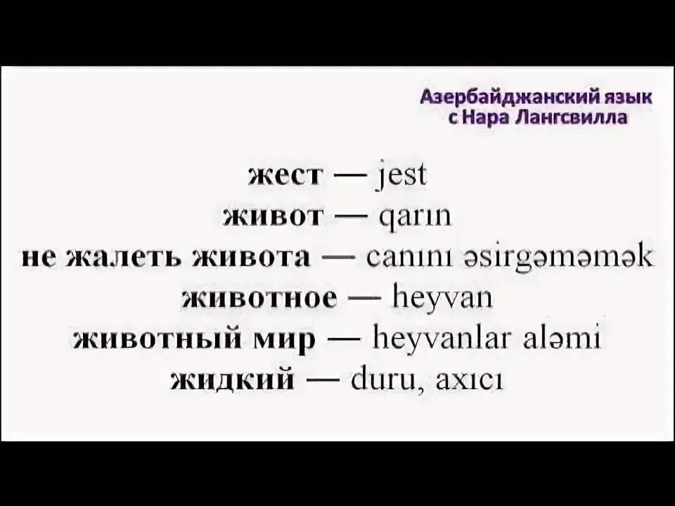 Видео на азербайджанском языке. Уроки азербайджанского языка. Как выучить азербайджанский язык быстро и самостоятельно. Учим азербайджанский язык с нуля. Выучить азербайджанский язык.