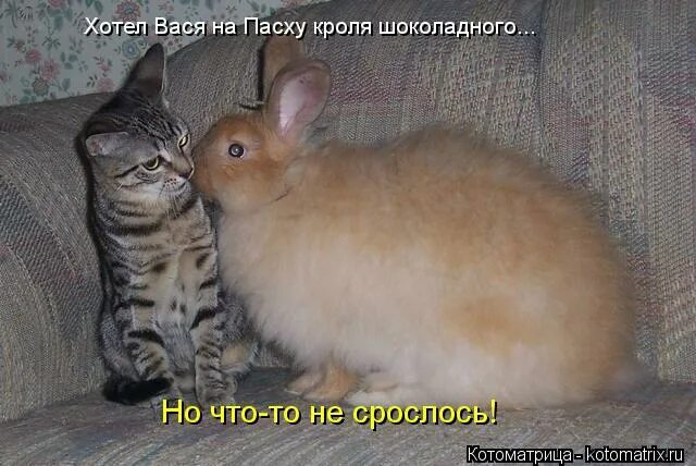 Мемы про то что ты не спишь ночью. Как заставить ребёнка уснуть. Даже сказка спать ложится чтобы ночью. Пожрать мем. Вася пытается уговорить сестру лечь спать.