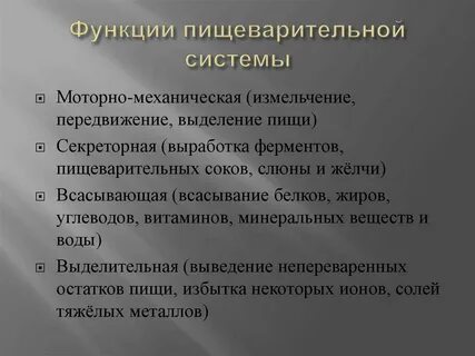 Функции пищеварительной системы