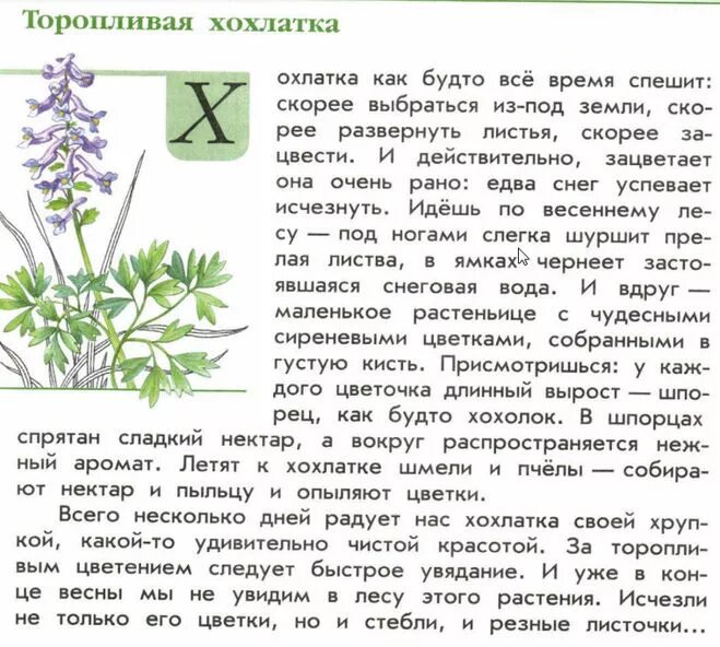 Зеленые страницы хохлатка растение. Хохлатка цветок Плешаков. Рассказ зеленые страницы. Книга зелёные страницы 2 класс.