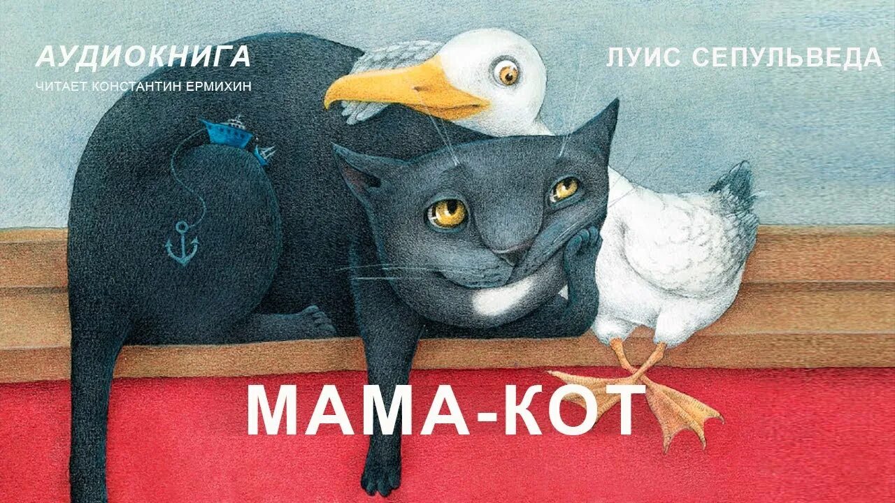 Купить маму кота. Луис Сепульведа мама-кот. Мама кот. Мама кот книга. Мамин котик.