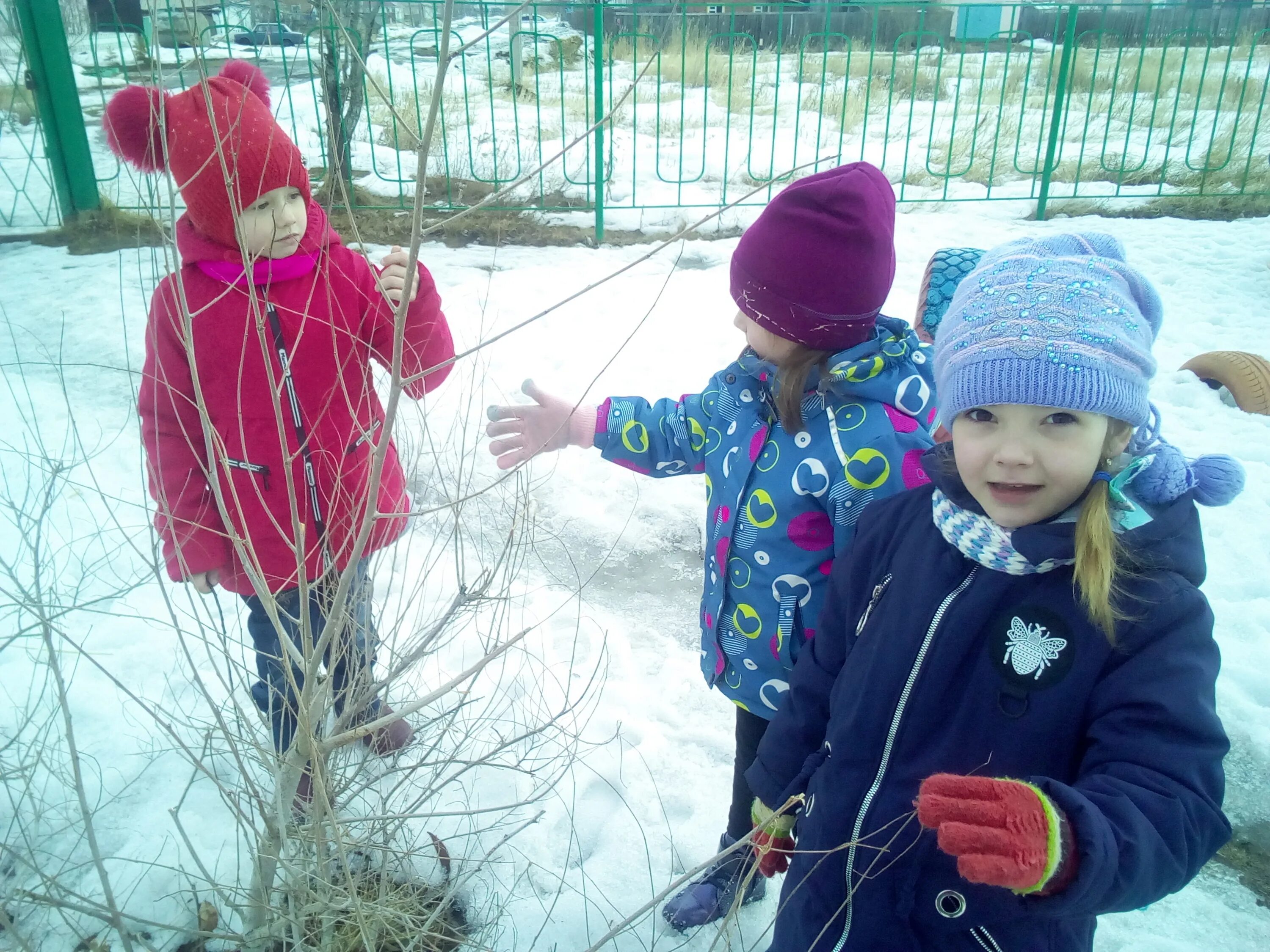 Весенние прогулки в средней группе