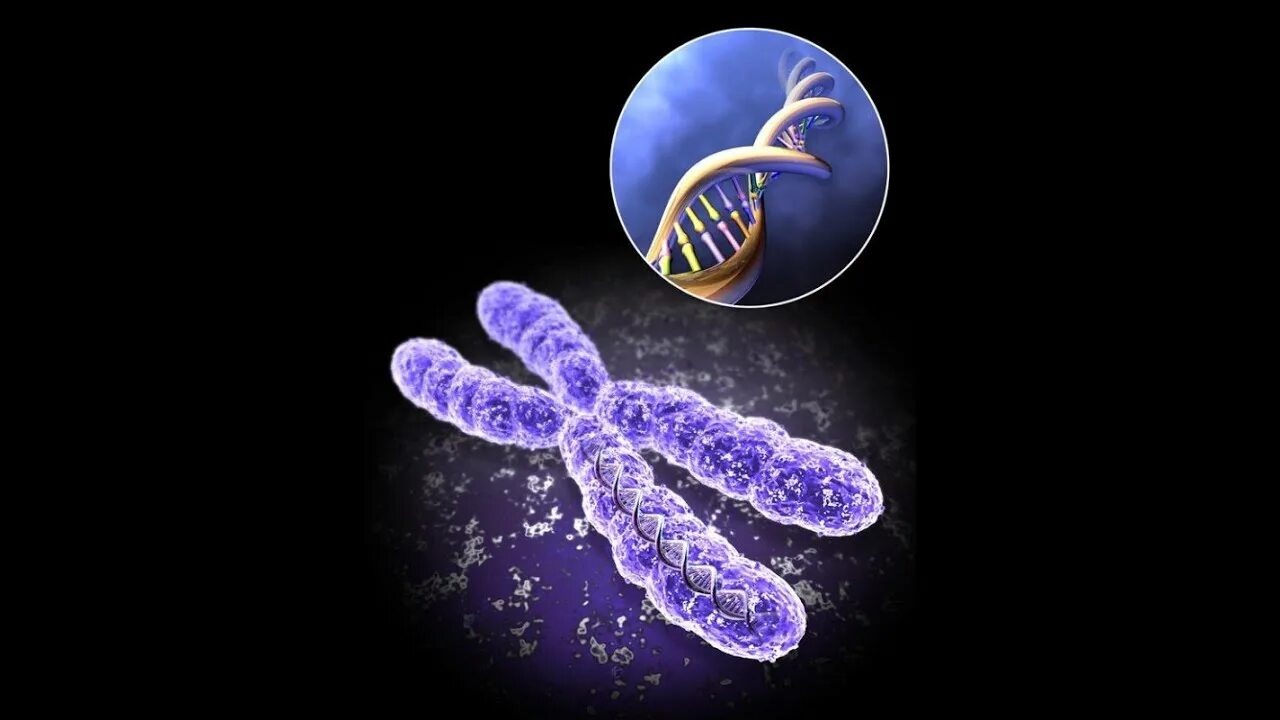 2 хромосома нарушения. Наследственные заболевания генетика. ДНК И хромосомы. Хромосомы фото.