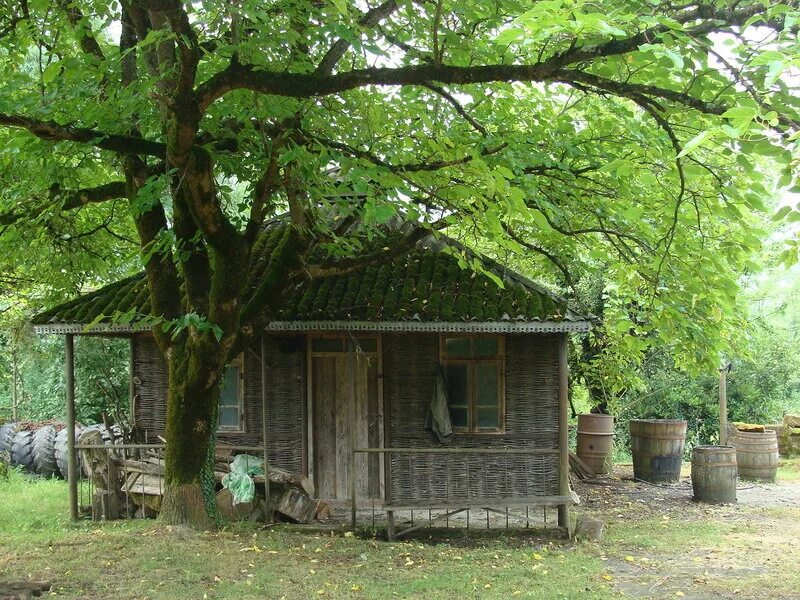 Абхазский дом. Пацха Абхазия. Апацха Абхазия Гагра. Апацха Гудаута. Нац жилище абхазов.