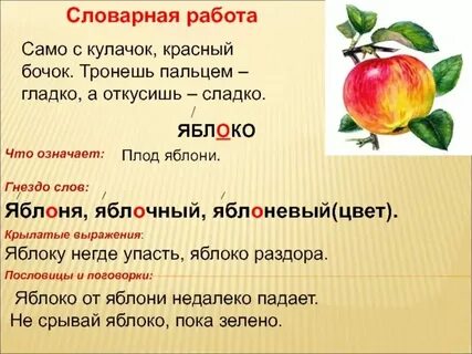 Яблоко отвечает на вопрос что