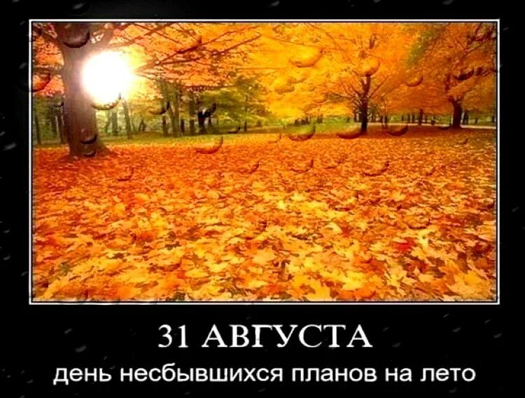 Лето уже кончилось сегодня пора было. Осенние приколы. Последний день лета прикол. С последним днем осени. Лето закончилось.