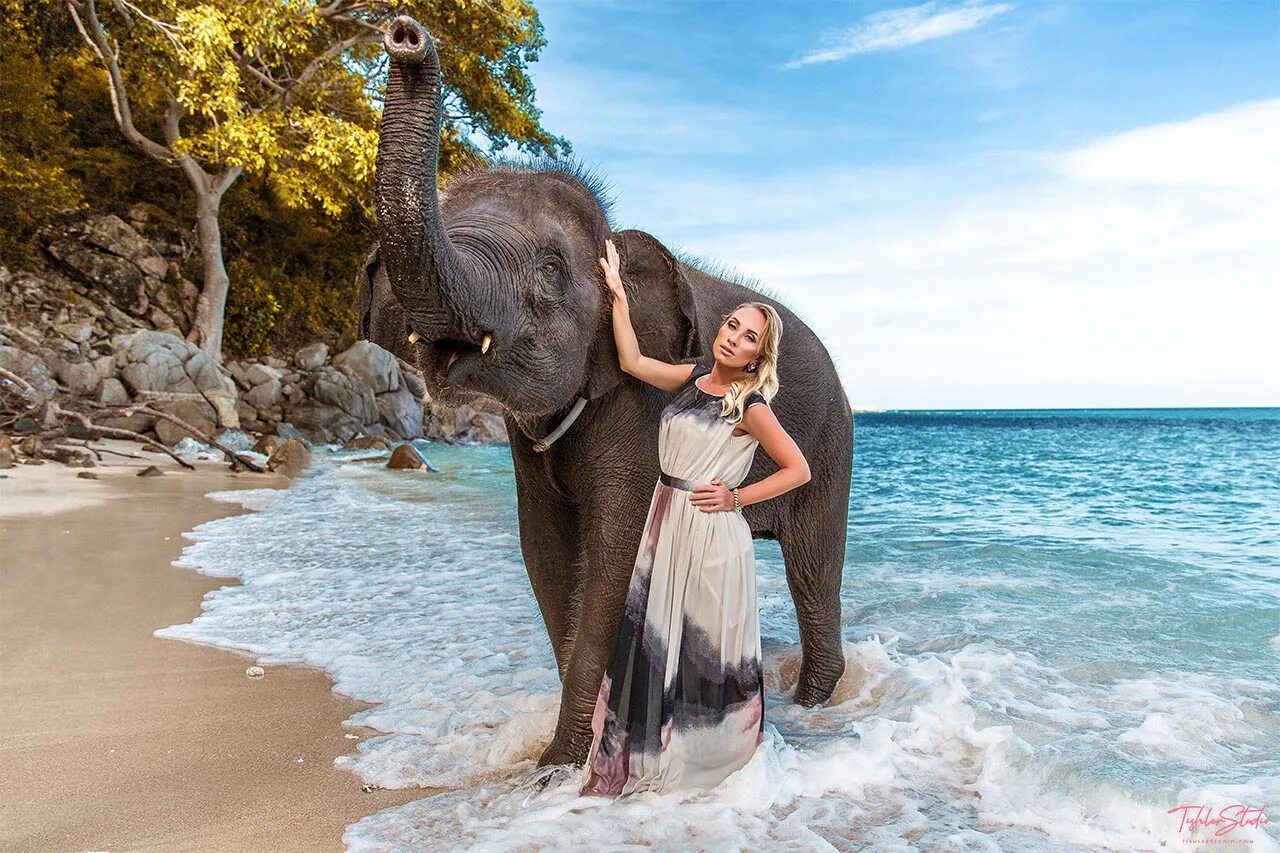 Женщина на слоне. Слон мужчина. Девушка со слонами. Фотосессия со слоном.