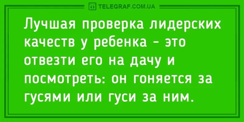 Анекдот про гуся. Анекдоты про гусей. Анекдот по гусей. Анекдоты с гусем. Анекдот про студента и профессора Гусь свинье не товарищ.