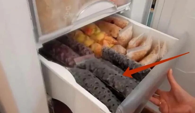 Хранение овощей в морозильнике. Заготовки в морозильник. Заморозки в морозилку. Заморозка продуктов в морозильной камере на зиму.