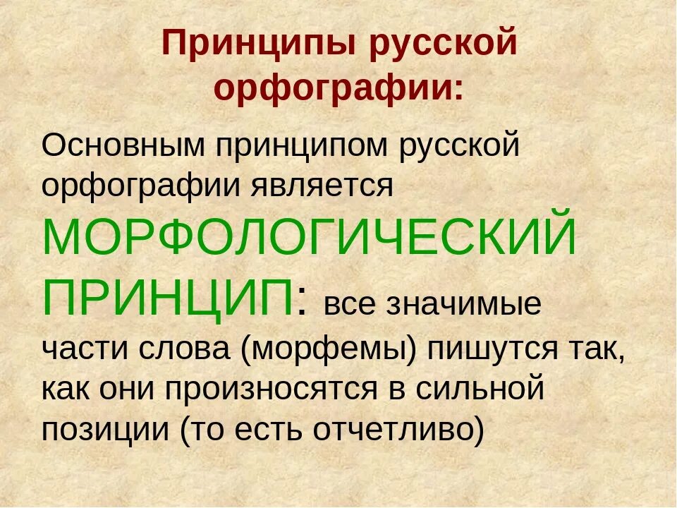 Орфография основные принципы русской орфографии. Принципы русской орфографии презентация 10 класс. Принципы современной орфографии. Принципы современной русской орфографии. Слова морфологического принципа