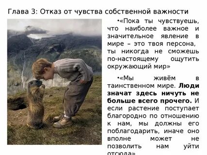 Чсв это расшифровка