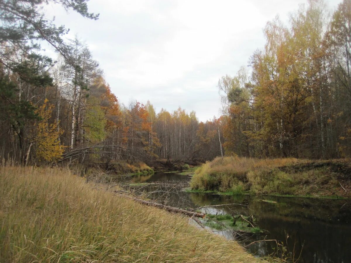 Река тёша Нижегородской области.