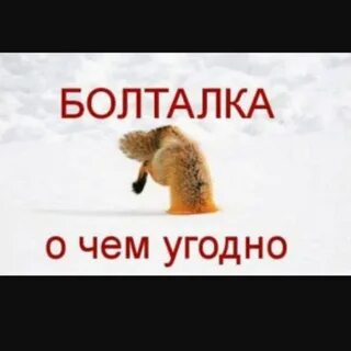Общалка тг
