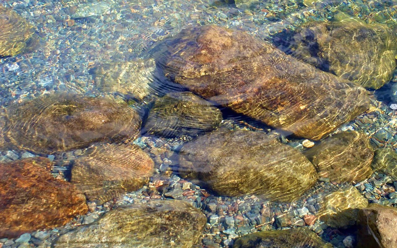 5 подводных камней. Каменистое дно. Каменистое дно моря. Камни на дне реки. Каменистое дно реки.