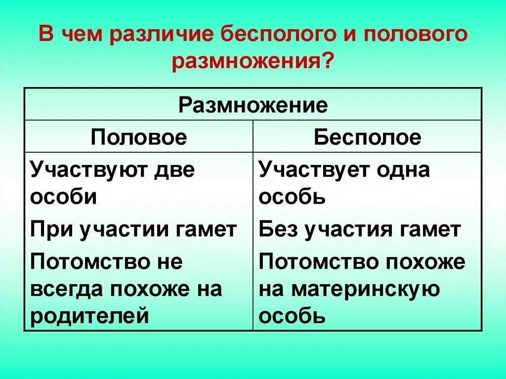 Каковы особенности бесполого размножения 6 класс