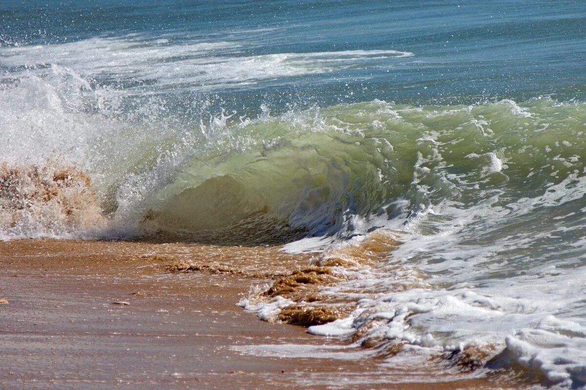 Набегающая волна Азовское море. Прибрежные волны. Прозрачная волна. Волны на берегу. Волна на рида