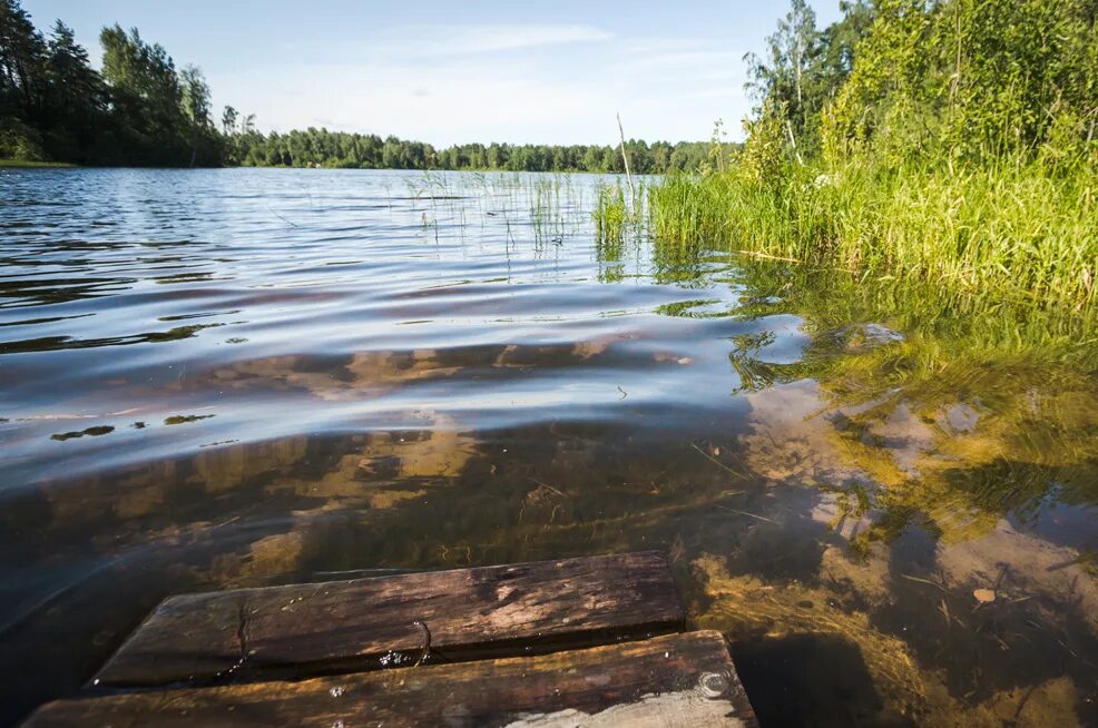 Озеро Валдайское Новгородская область. Реки и озера Валдая. Озеро Селигер вода. Озеро ватсхеръярви.