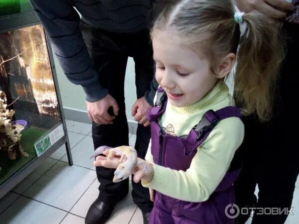 Зоопарк набережные. Трогательный зоопарк набережные челны сити молл. сити молл зоопарк набережные челны. контактный зоопарк набережные челны. контактный зоопарк в набережных челнах.