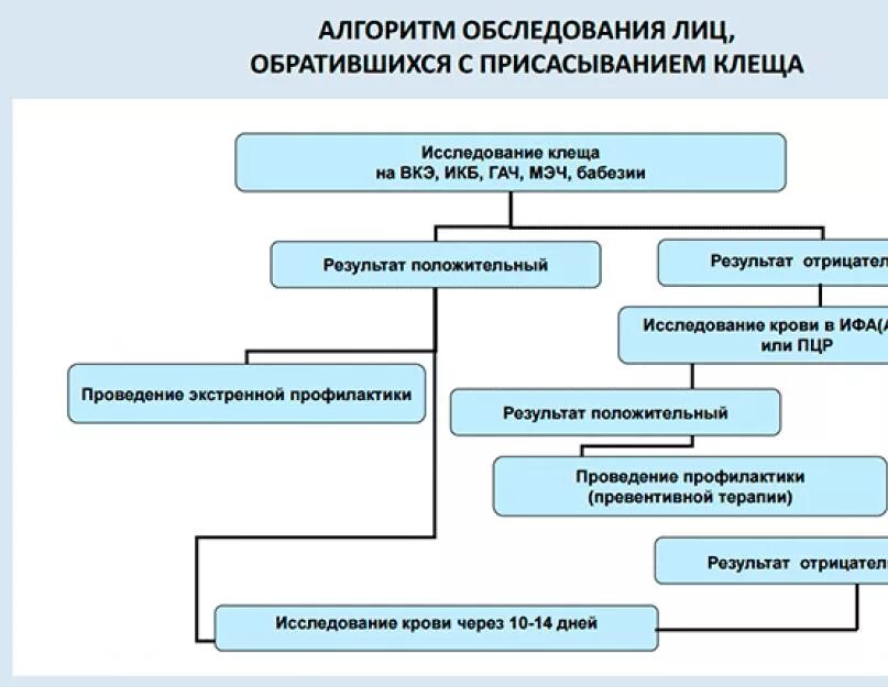 Алгоритм при укусе клеща. Схема лабораторной диагностики клещевого энцефалита. алгоритм действий при присасывании клеща. алгоритм действий при укусе клеща.