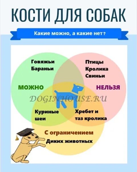 Какие косточки можно щенкам. Какие косточки можно щенкам. Кость прессованная для собак. Какие кости нельзя давать собакам. Трубчатые кости нельзя собакам.